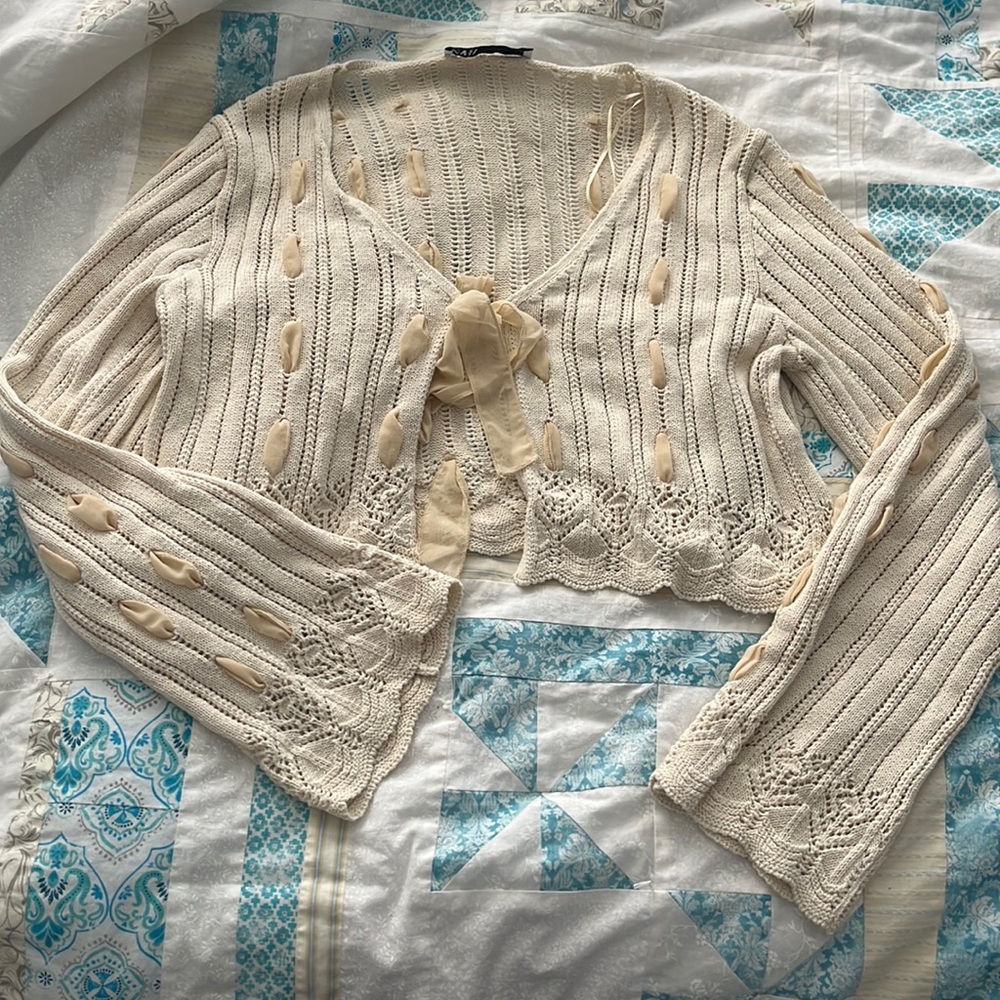 Zara cropped sweater
